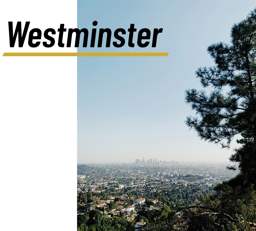 A view of Los Angeles